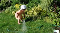 “Ogrody Kensingtońskie” to nazwa naszego letniego konkursu fotograficznego. Chcielibyśmy Wam przybliżyć jej genezę. Ogrody Kensingtońskie w rzeczywistości jako jeden z ośmiu królewskich parków w Londynie, zajmują powierzchnię 111 hektarów i są...