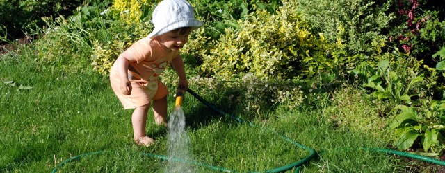 “Ogrody Kensingtońskie” to nazwa naszego letniego konkursu fotograficznego. Chcielibyśmy Wam przybliżyć jej genezę. Ogrody Kensingtońskie w rzeczywistości jako jeden z ośmiu królewskich parków w Londynie, zajmują powierzchnię 111 hektarów i są...